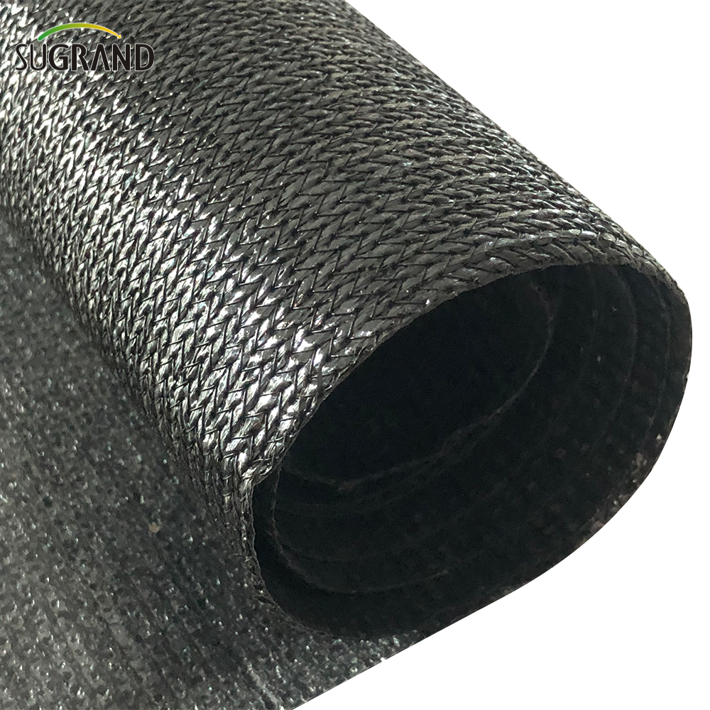 Backard Black Waterproof Sun Shade Sail Block Net 
