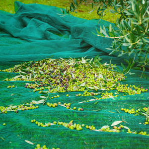 Wysokiej jakości siatka do zbioru oliwek