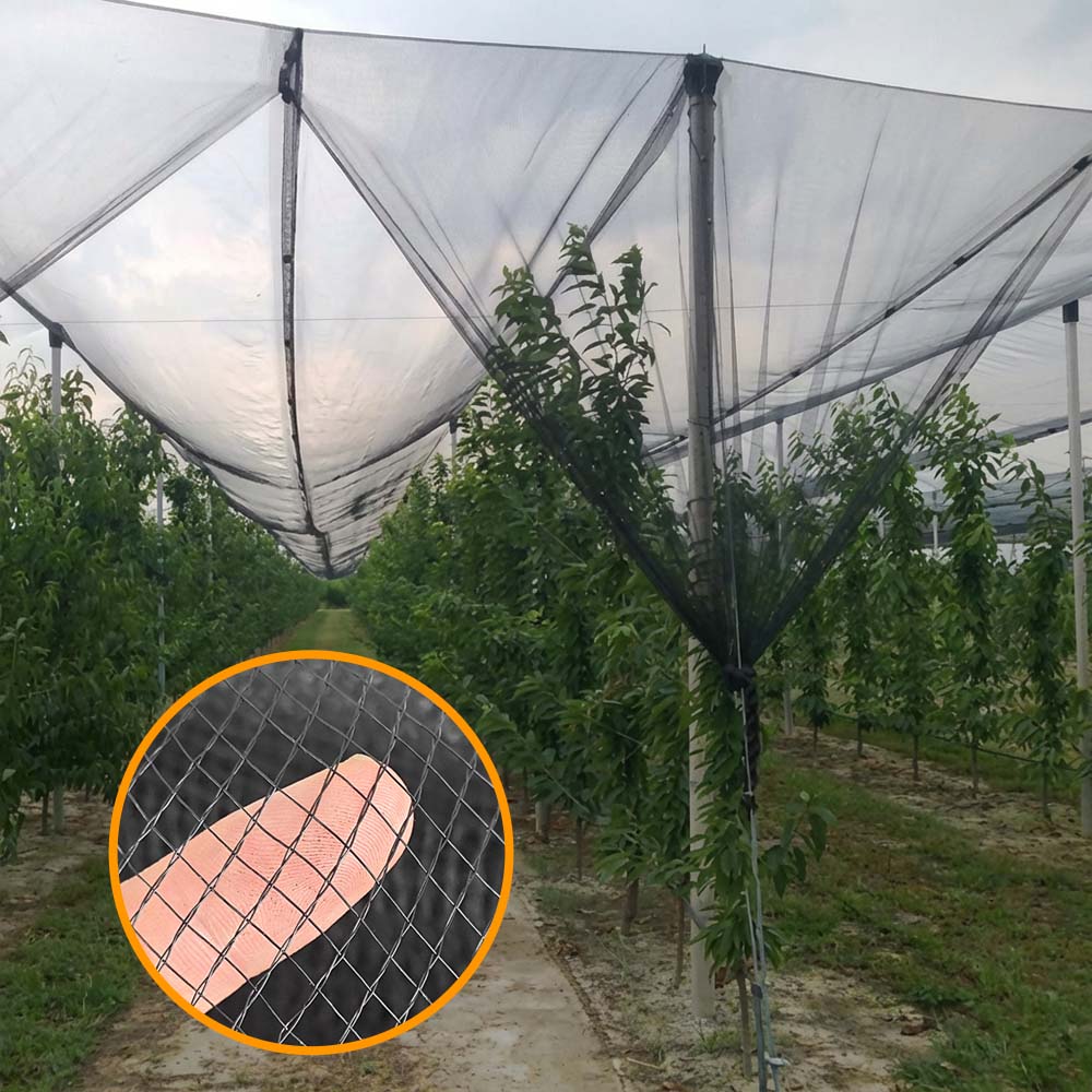 SUGRAND Siatka przeciwgradowa dla gospodarstw sadowniczych