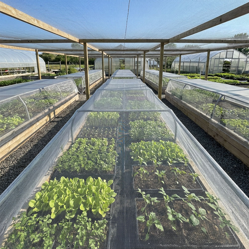 Jak wybrać odpowiednią siatkę przeciw owadom do warzyw?