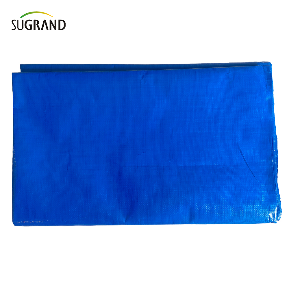 Producent Trwałość Wodoodporna PVC TREAD BLUE BLUE 