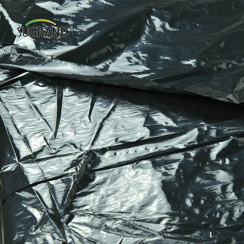 Tanie cena fabryczna Czarna plastikowa ściółka biodegradowalna Mulch UV Film do rolnictwa