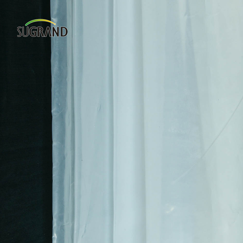 Fabrycznie przezroczyste szklarnie plastikowe 190Mic Film szklarni dla sadzonek ogrodowych