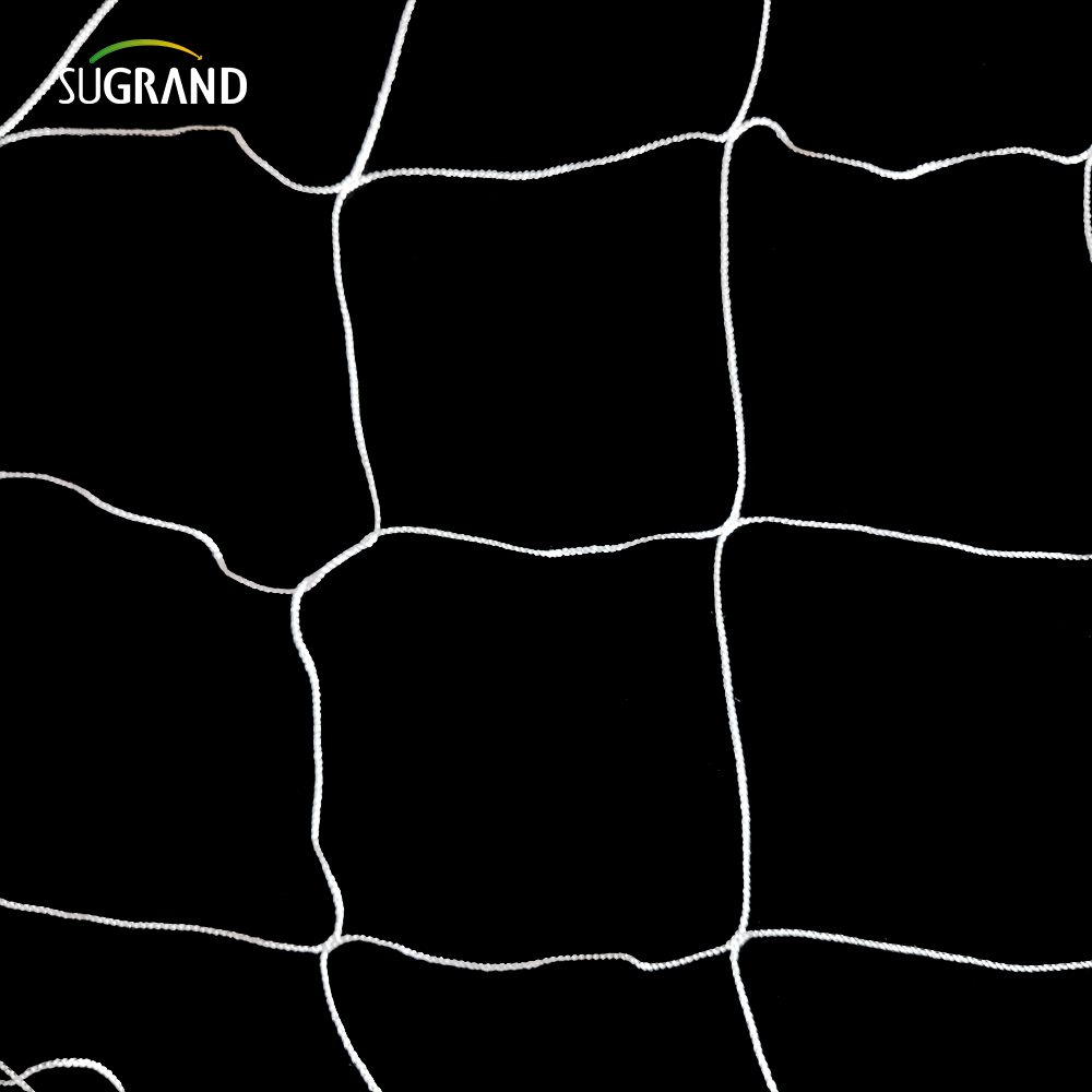 Hurtowa biała nylonowa wsparcie rośliny siatka 5x15 stóp ogród 6 'siatka do wspinaczki