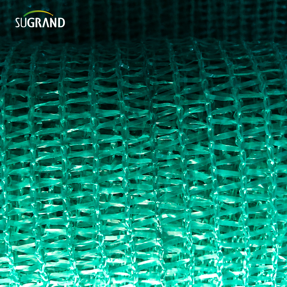 Zielone/czarne trzy igły z taśmą