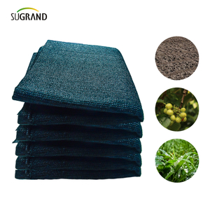 Sześć igieł czarna i zielona taśmowa siatka