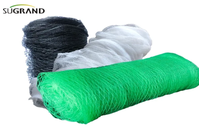 Jak anty ptaków wspierają zrównoważone rolnictwo