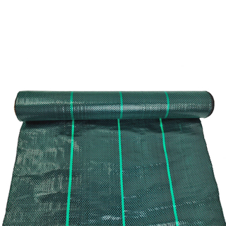 Ciemnozielona roślina okrywowa Fabryka tkanin krajobrazowych