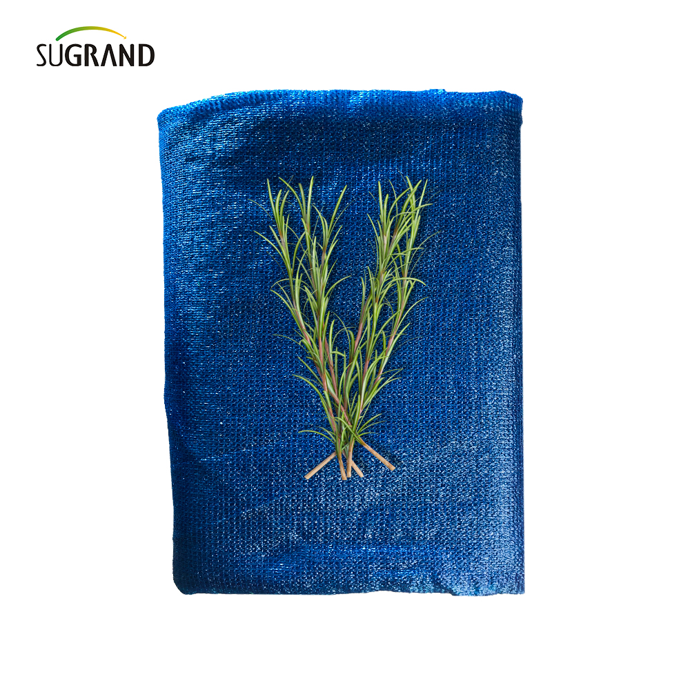 Dwa igły niebieskie taśmę + taśmę