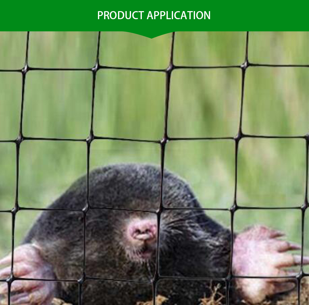 siatka przeciw kretom6