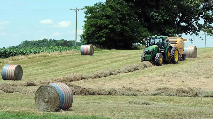 siatka do bel paletowych