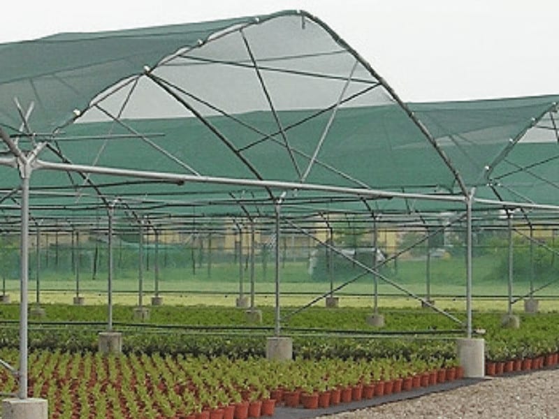 Siatka zielonego odcienia