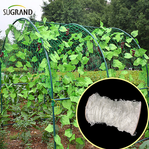 Nylonowe białe rośliny wspinaczkowe netto netto netto