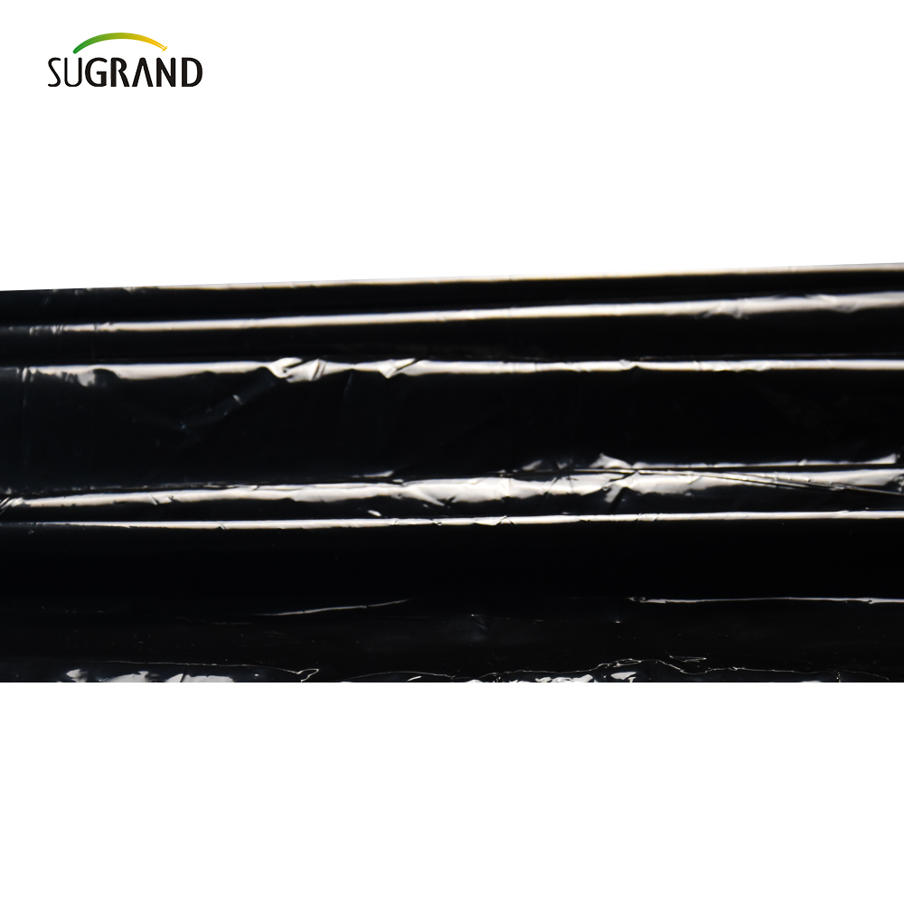 Perforowany folia ściółki UV UV Film do użytku dla warzyw 