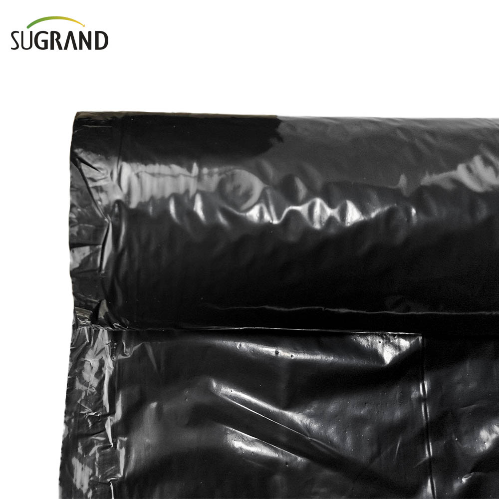 Biotelo Biodegradowalna folia do ściółkowania Agriplast Mulczowanie do ściółki rolniczej