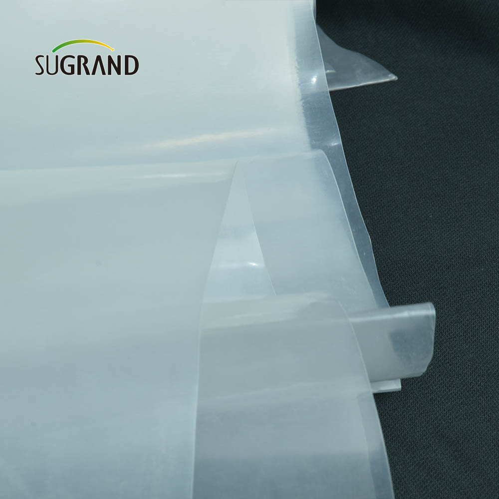 Fabrycznie przezroczyste szklarnie plastikowe 190Mic Film szklarni dla sadzonek ogrodowych