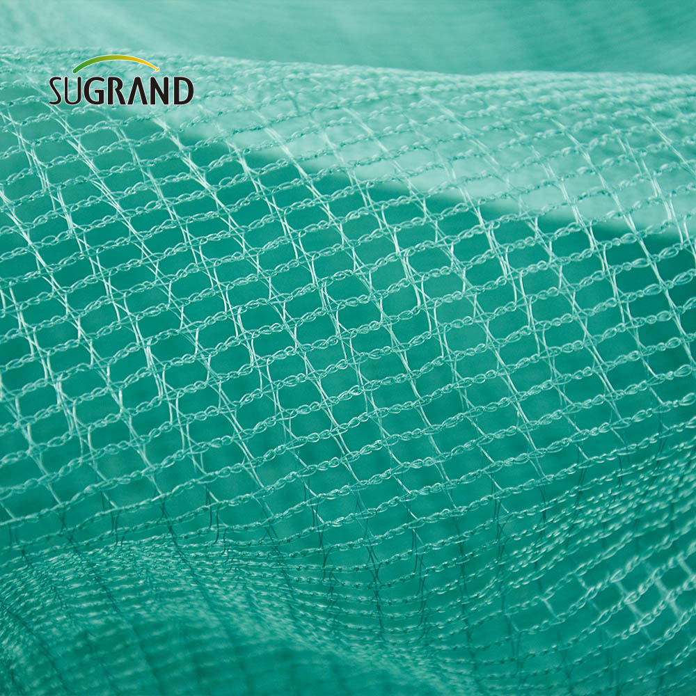 5x10M Olive Collection Net do zbioru owoców sieci oliwek we Włoszech