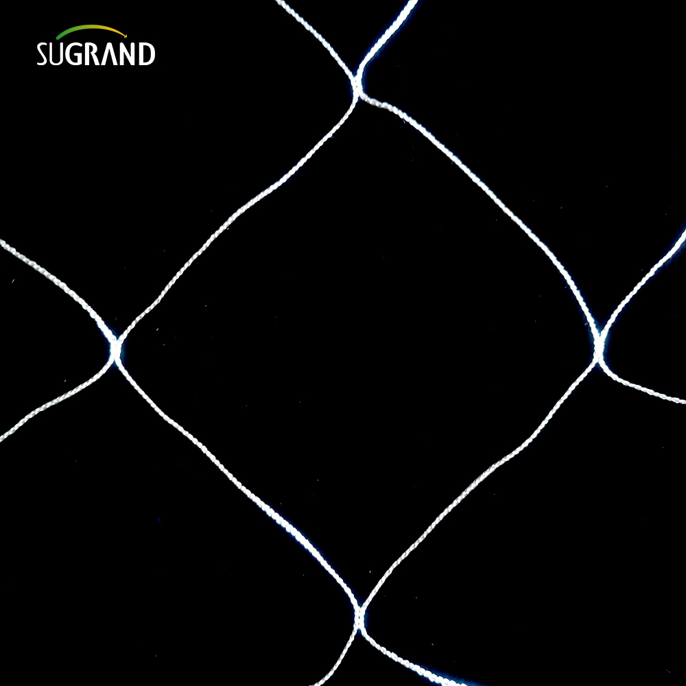 Hurtowa biała nylonowa wsparcie rośliny siatka 5x15 stóp ogród 6 'siatka do wspinaczki