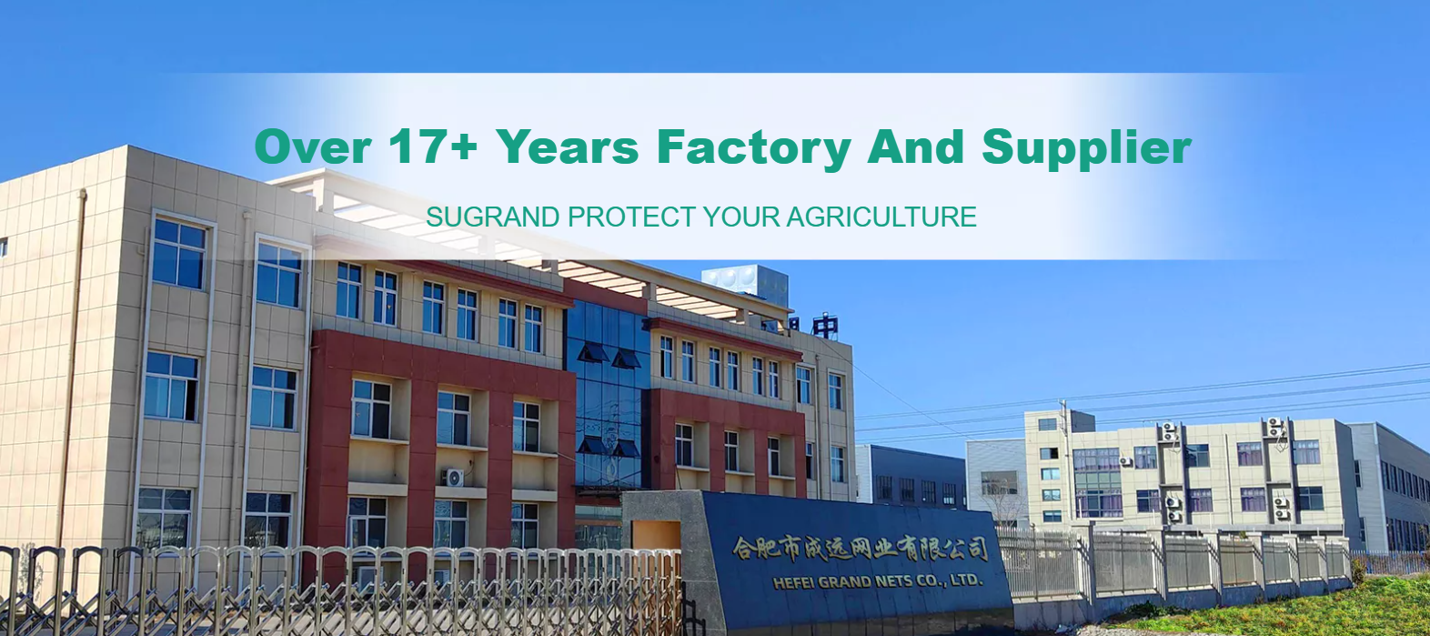 Która okładka gruntowa działa najlepiej w ogrodach?