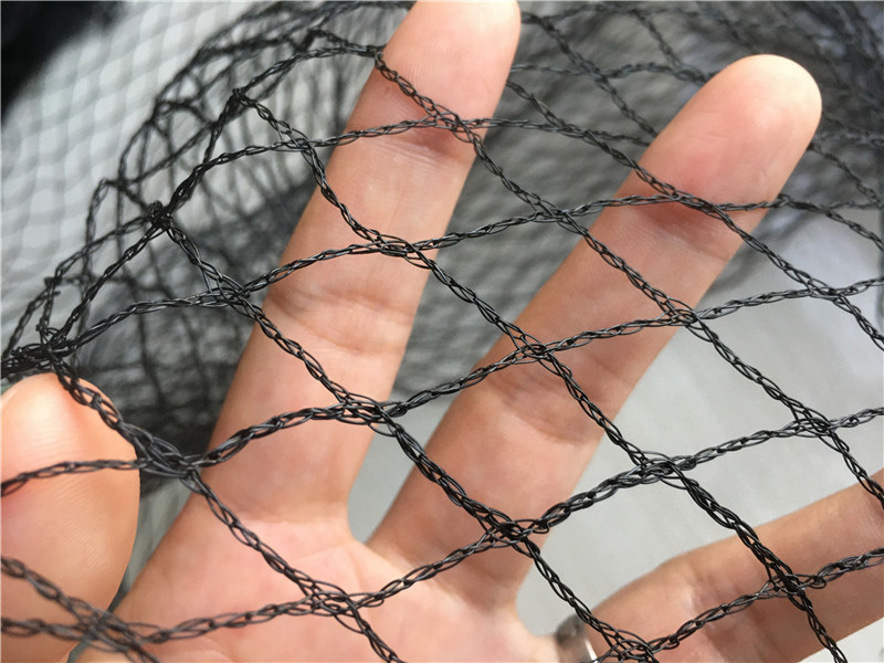 Bird mgły za łapanie ptaków