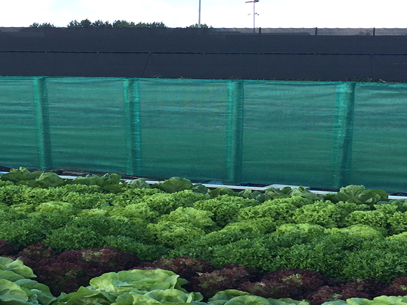 Innowacyjne zastosowania siatki wiatrówki na obszarach mieszkalnych