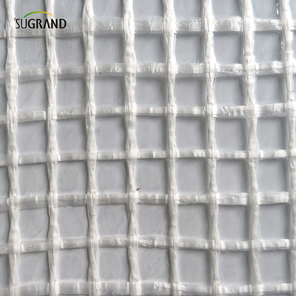 800 g opóźniającego się 3*45 m rusztowania arkusz siatki