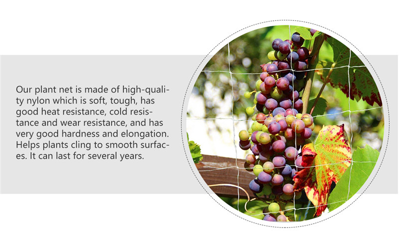 siatka podtrzymująca rośliny 3