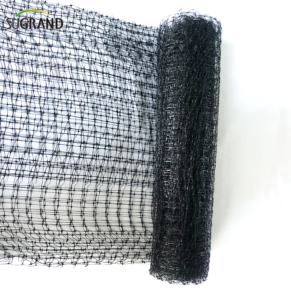 40G czarny 15x15 lub 16x16 ciężkie drzewo owocowe siatka ptaków