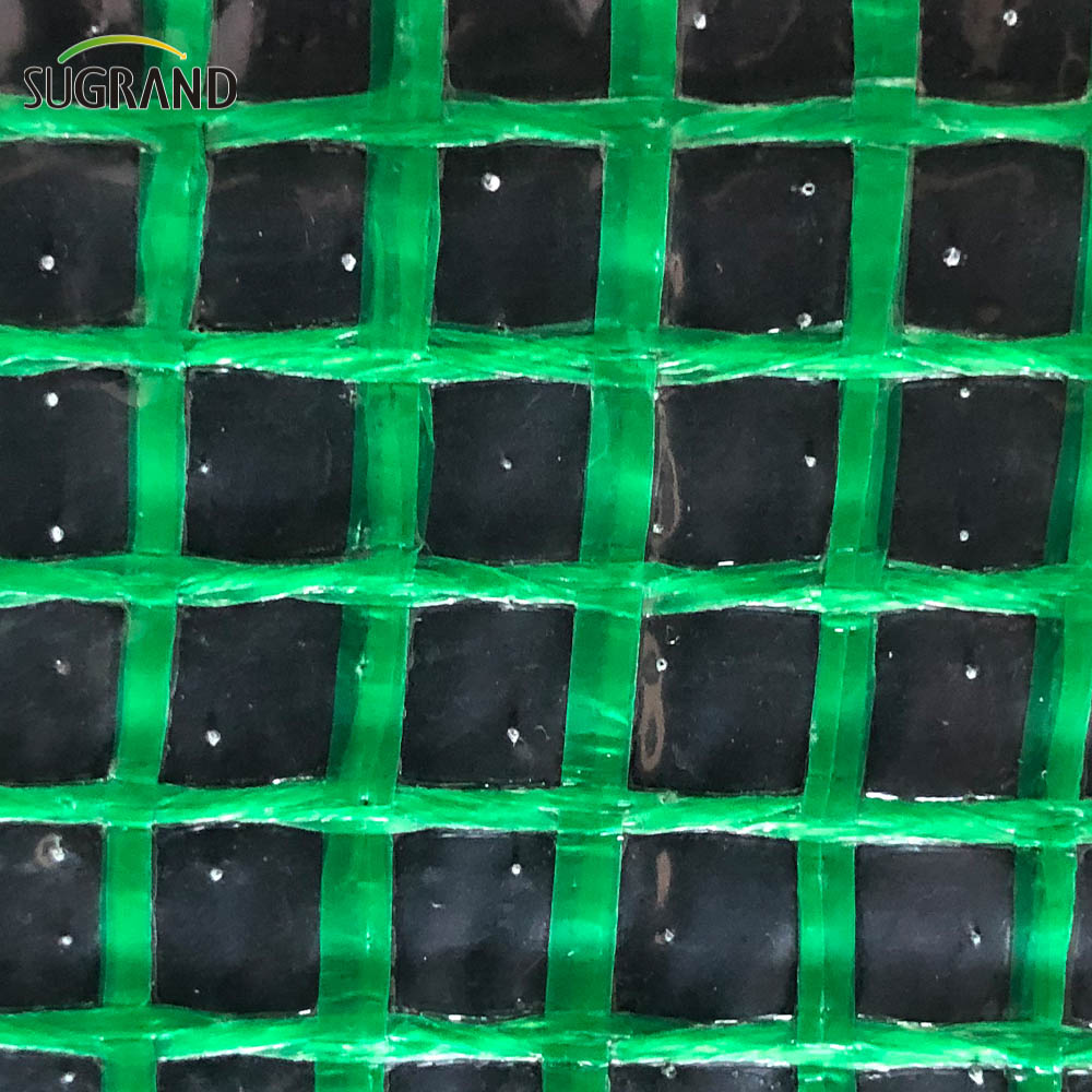 Konstrukcja tarpaulina siatka bezpieczeństwa siatki siatki netto PE plander