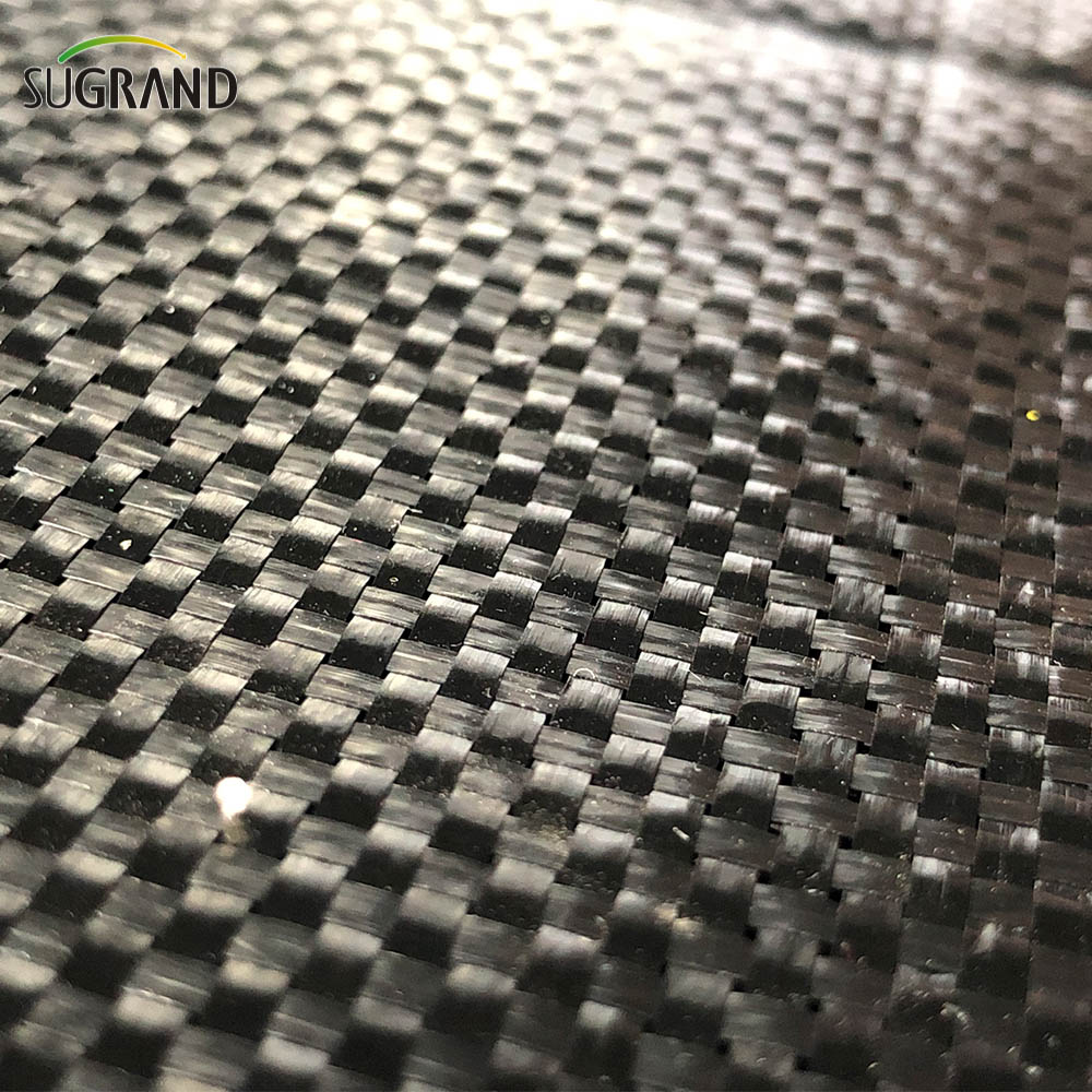 100% PP Black Ground Cover/Tabil