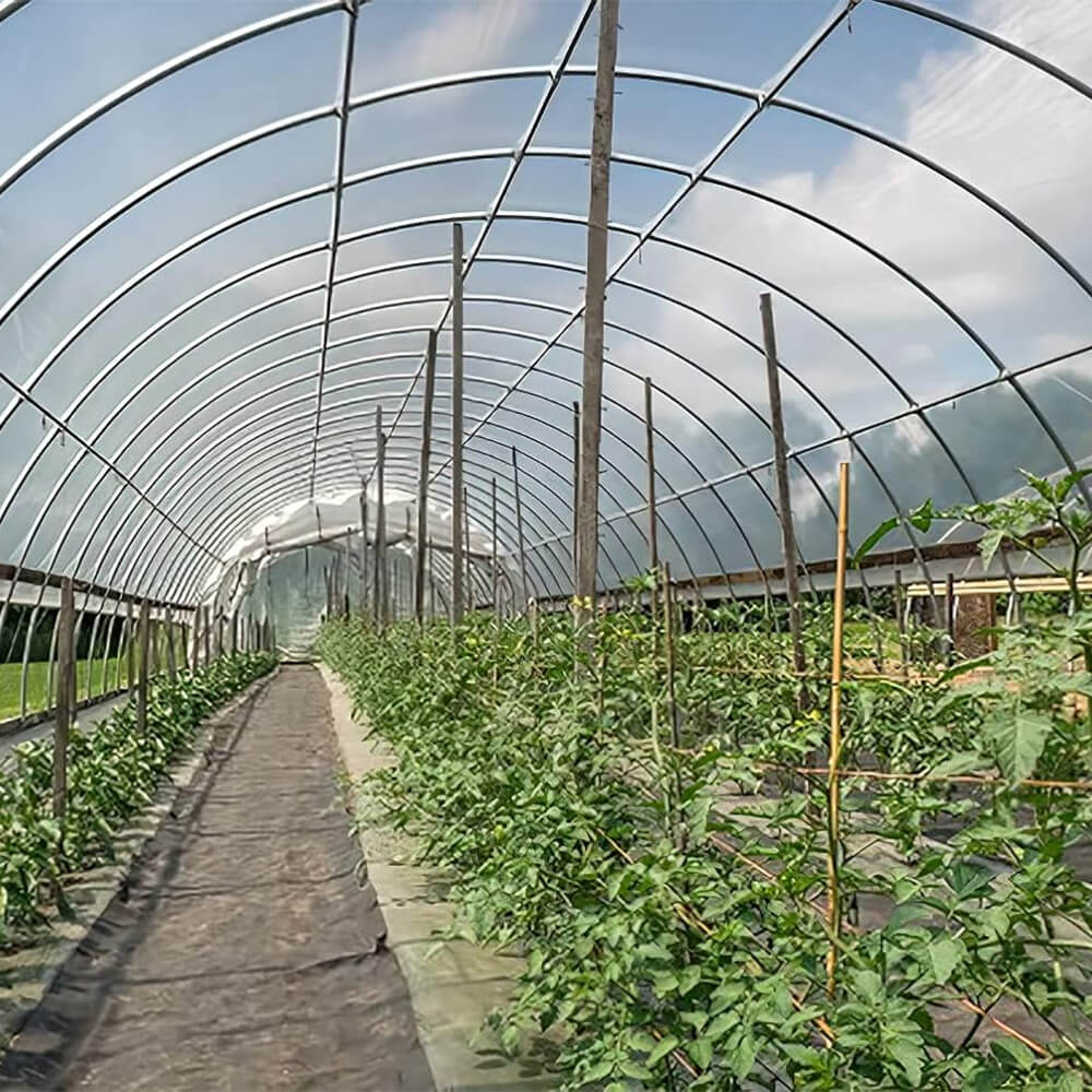 Film szklarnia z plastiku polietylenowego