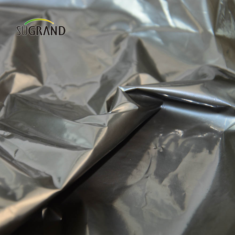 Fabryka dobrej jakości bezpośrednio 10 mikronów - 100 mikronów Biodegradowalna folia ściółkowa dla gospodarstwa