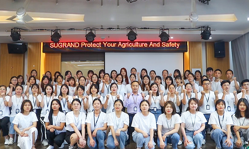 cień netto producent