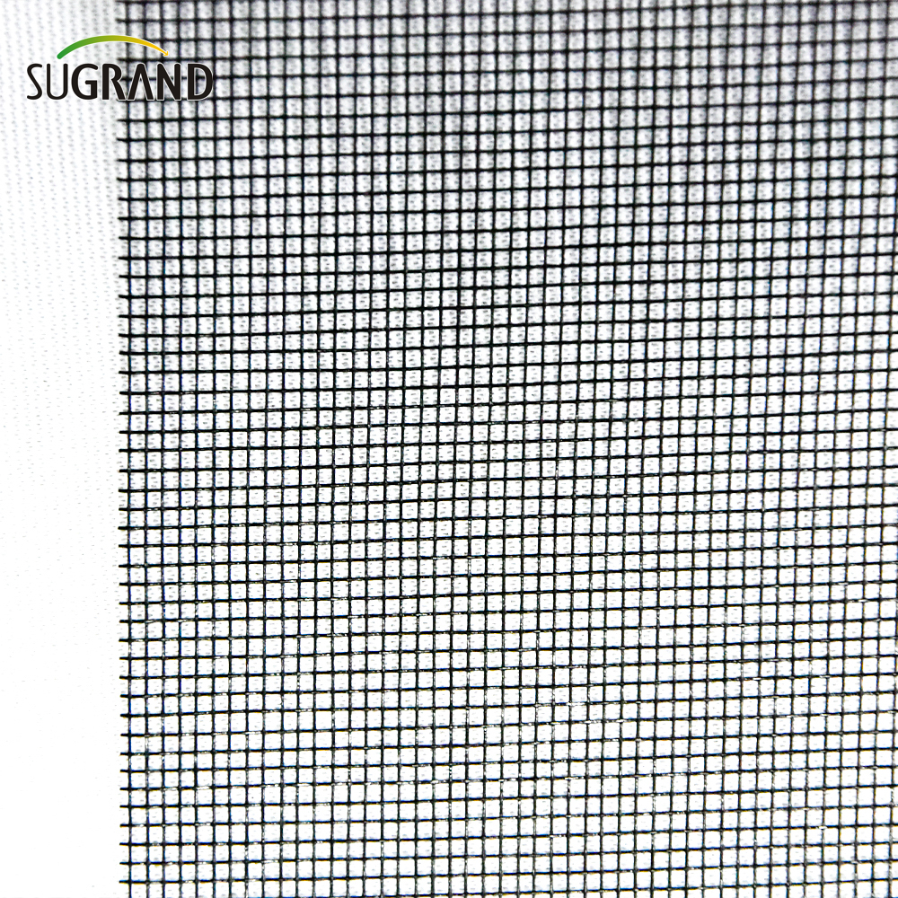 110GSM Anti Insect Net Net Fibreglass Exect Screen Screen
