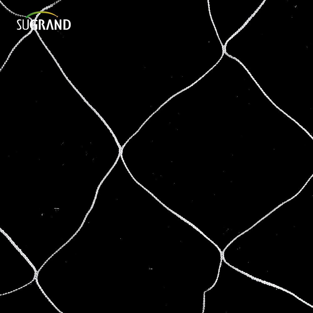 Hurtowa biała nylonowa wsparcie rośliny siatka 5x15 stóp ogród 6 'siatka do wspinaczki