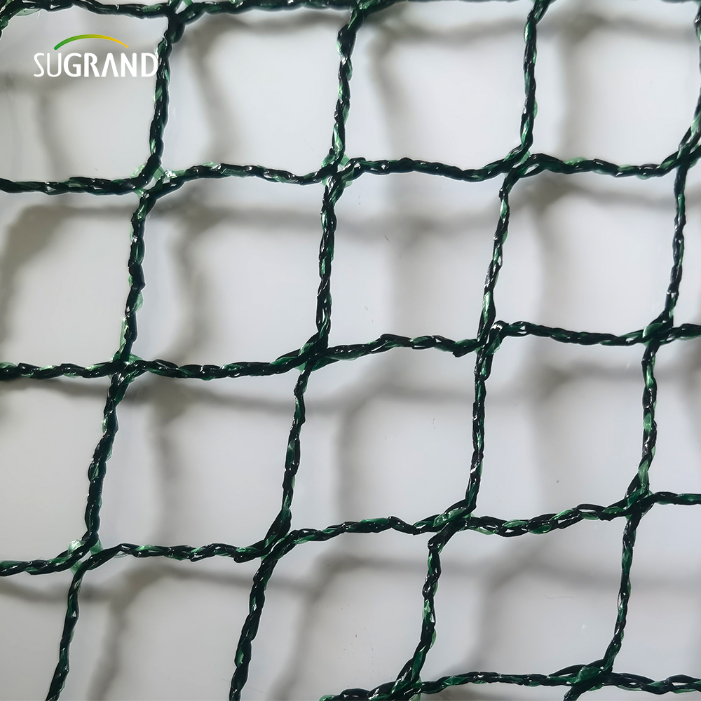 Czech Republic100% HDPE+UV 25GSM 20*20 mm MESH 5*6/12M Black Green Agriculture Catching Bird Mistting