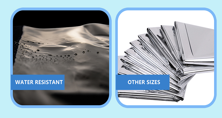 folia ści&oacute;łkowa (9)