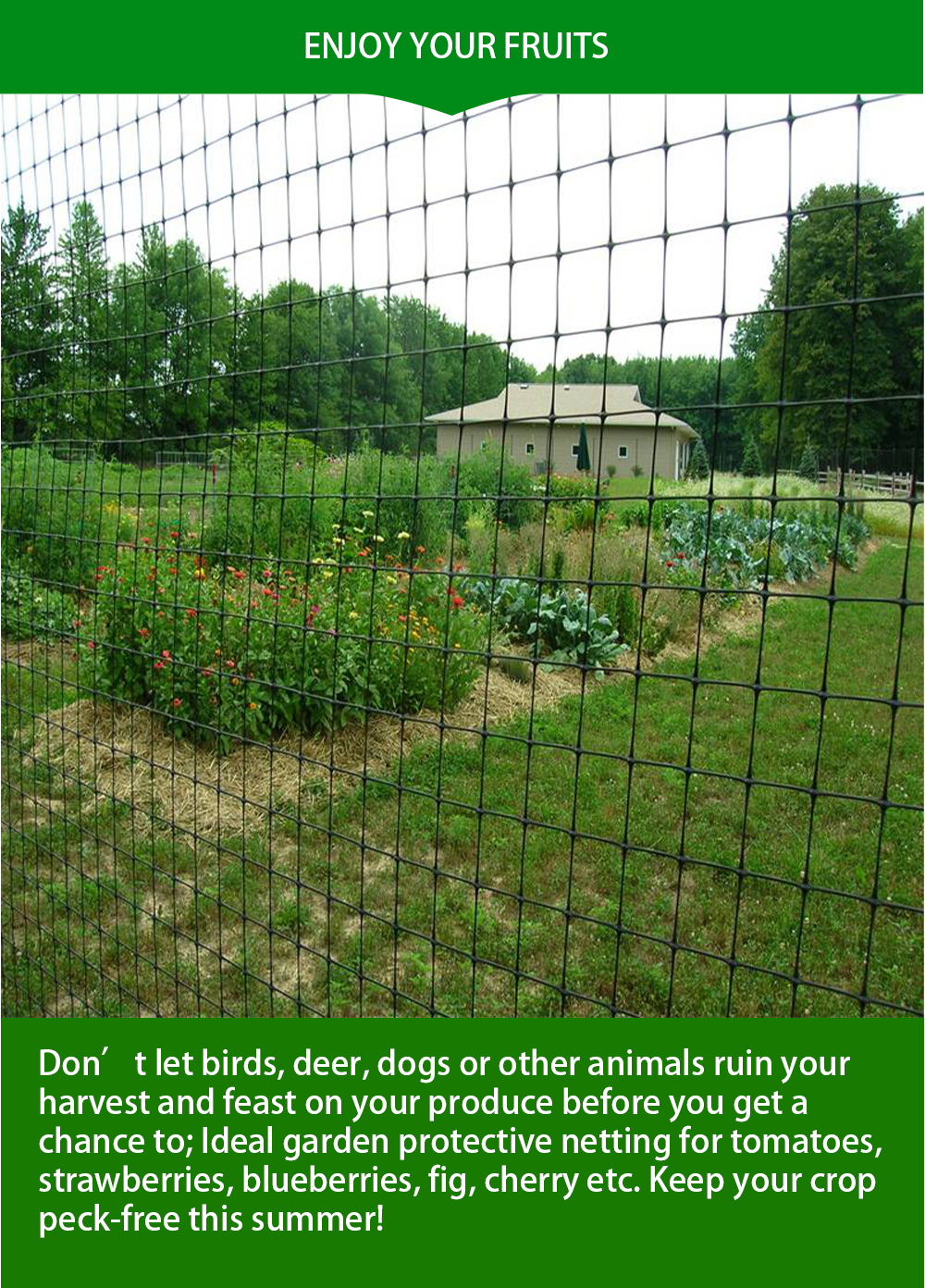 siatka przeciw kretom11