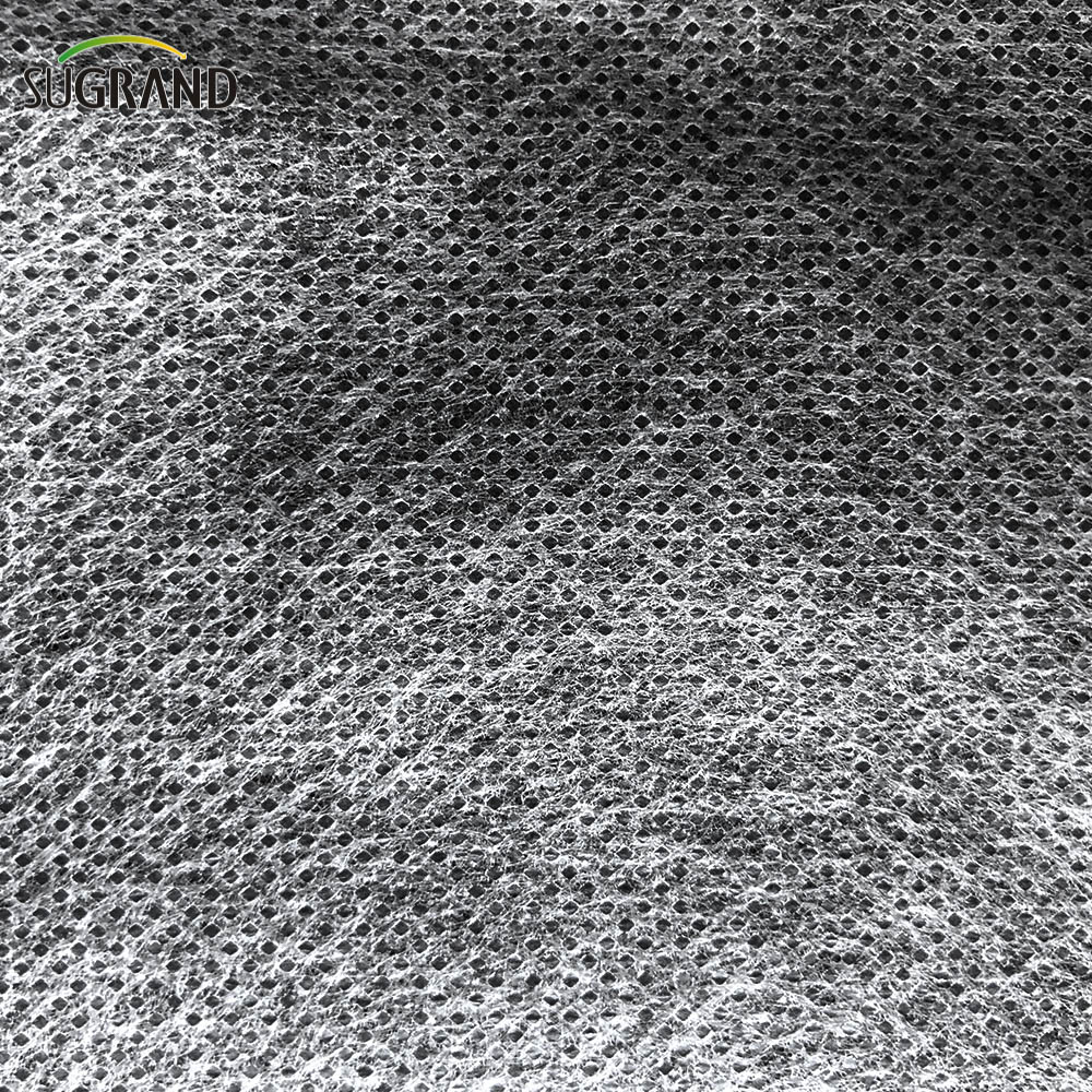 100G 2x50m Rolnictwo PP Biała tkanina bez tkanin 