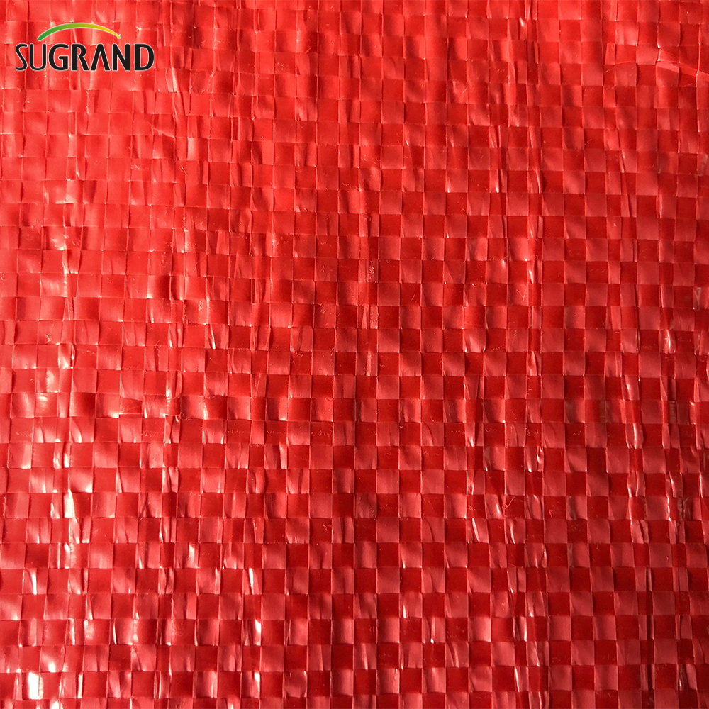 Rynek w Chile Plastikowe siatkowe torby na ziemniaki Torby na cebulę Torba netto z PP