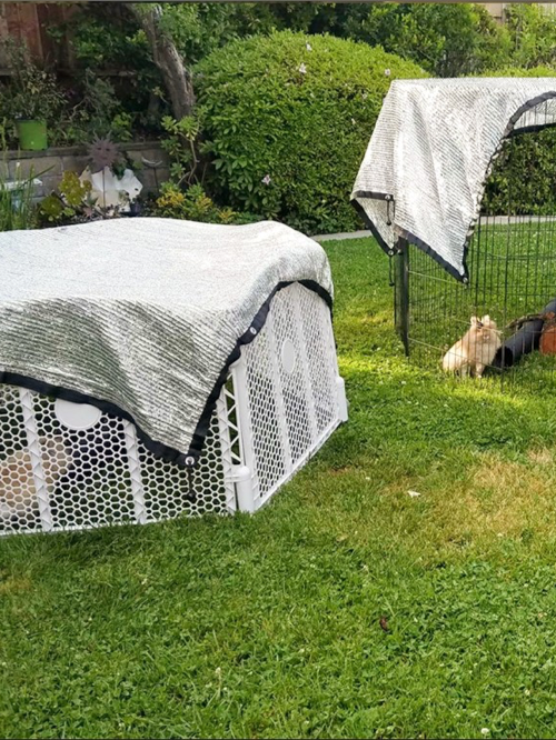 Greathouse Shade Net