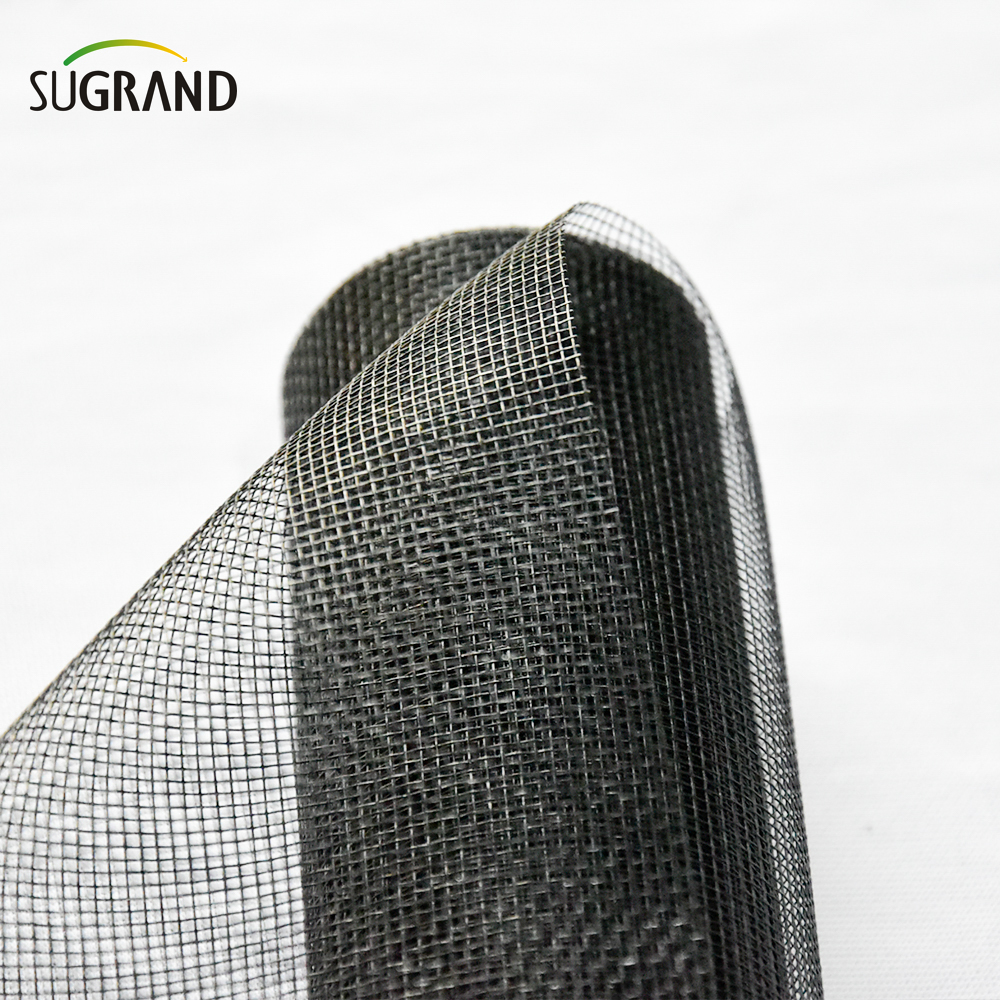 110GSM Anti Insect Net Net Fibreglass Exect Screen Screen