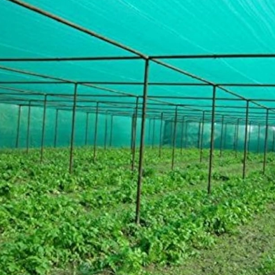 Wybierz odpowiednią sieć cienia, aby zwiększyć zbiory