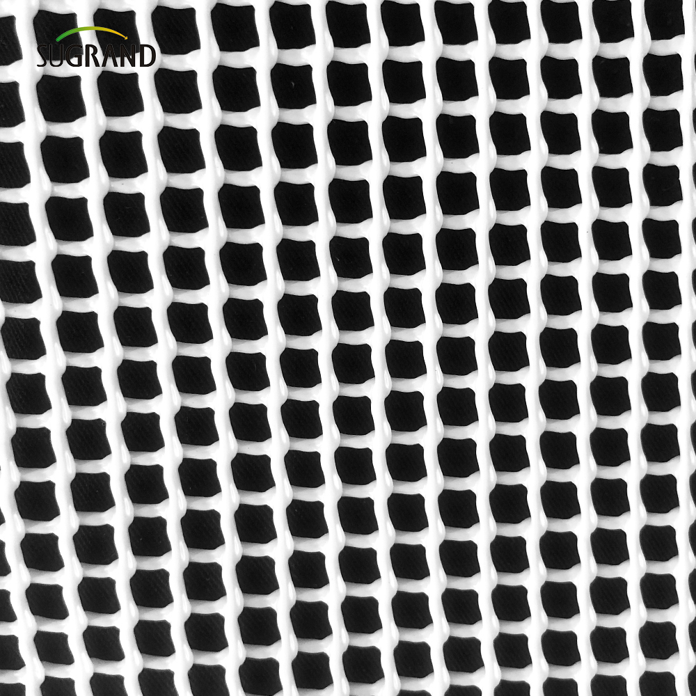 BOP rozciągnięta siatka PVC drellis dla ochrony wzrostu owoców