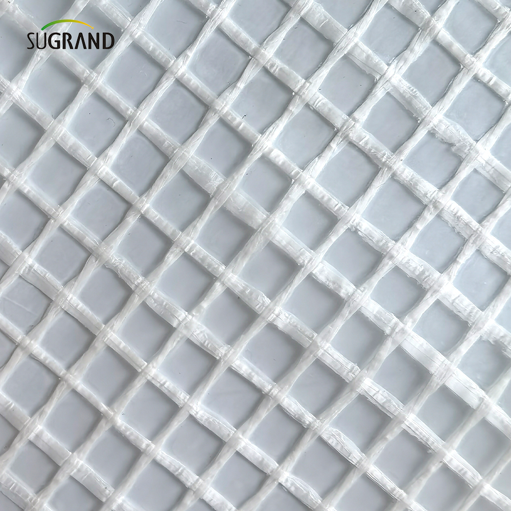 800 g opóźniającego się 3*45 m rusztowania arkusz siatki