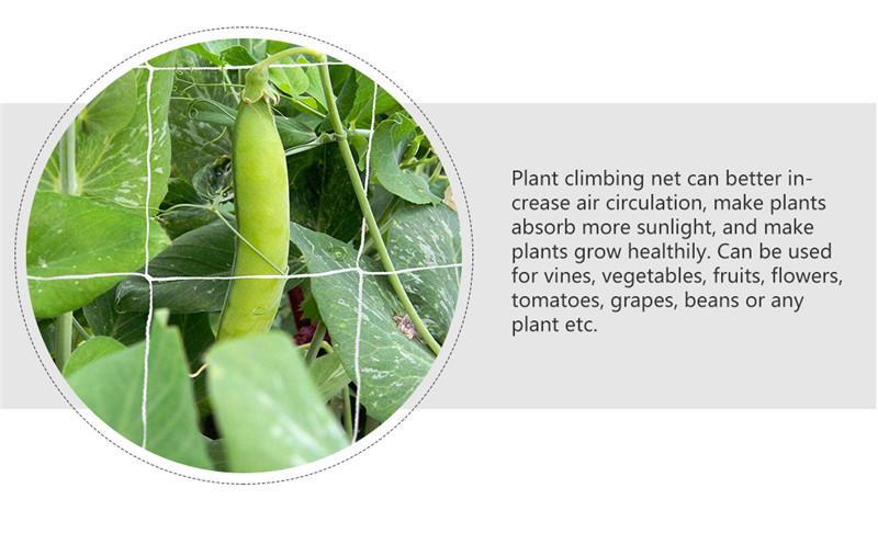 siatka podtrzymująca rośliny 4