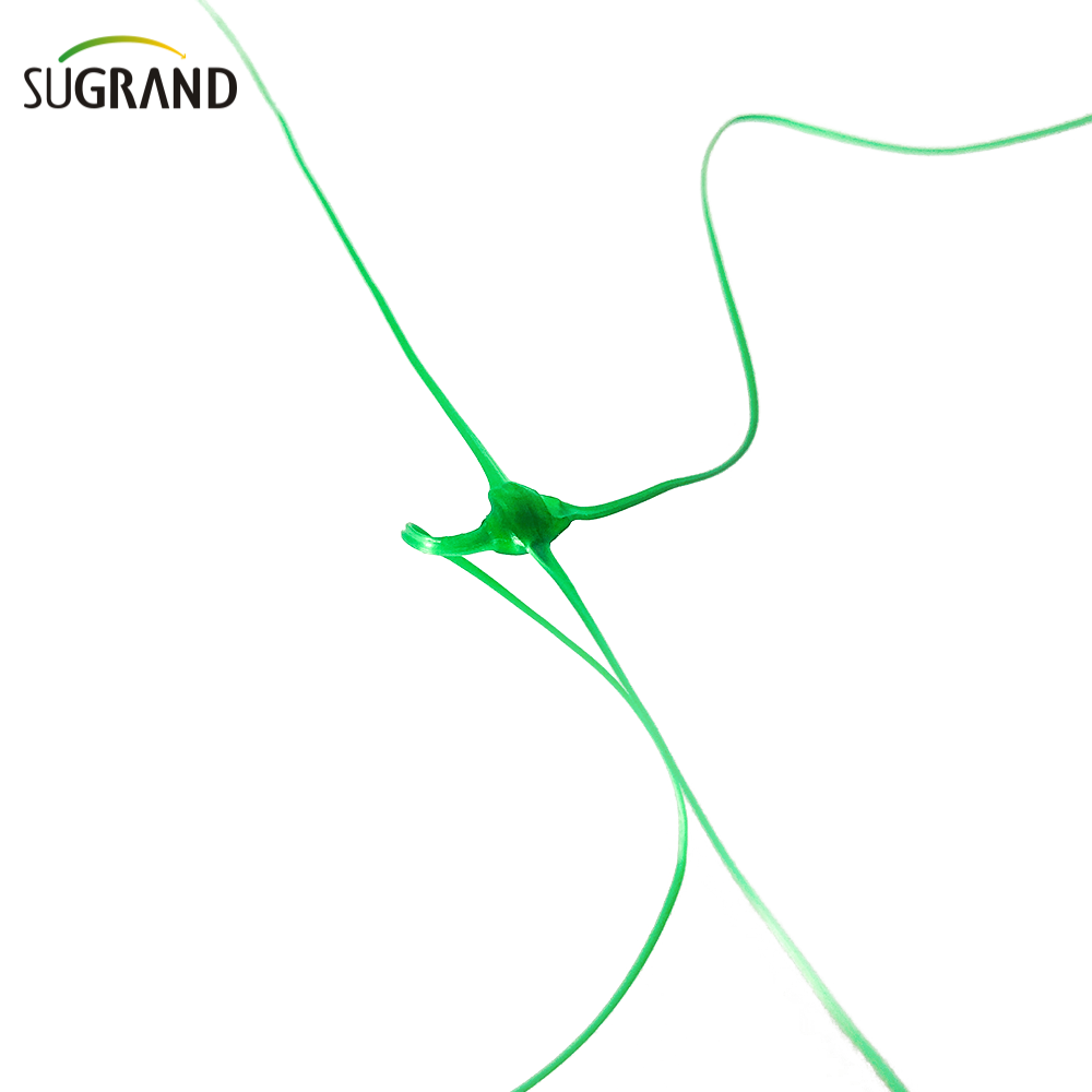 HDPE Plant Protection Net Plant Support Net Net Netroint