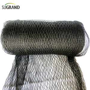 35GSM Black Anti-Bird Netting dla ogrodu