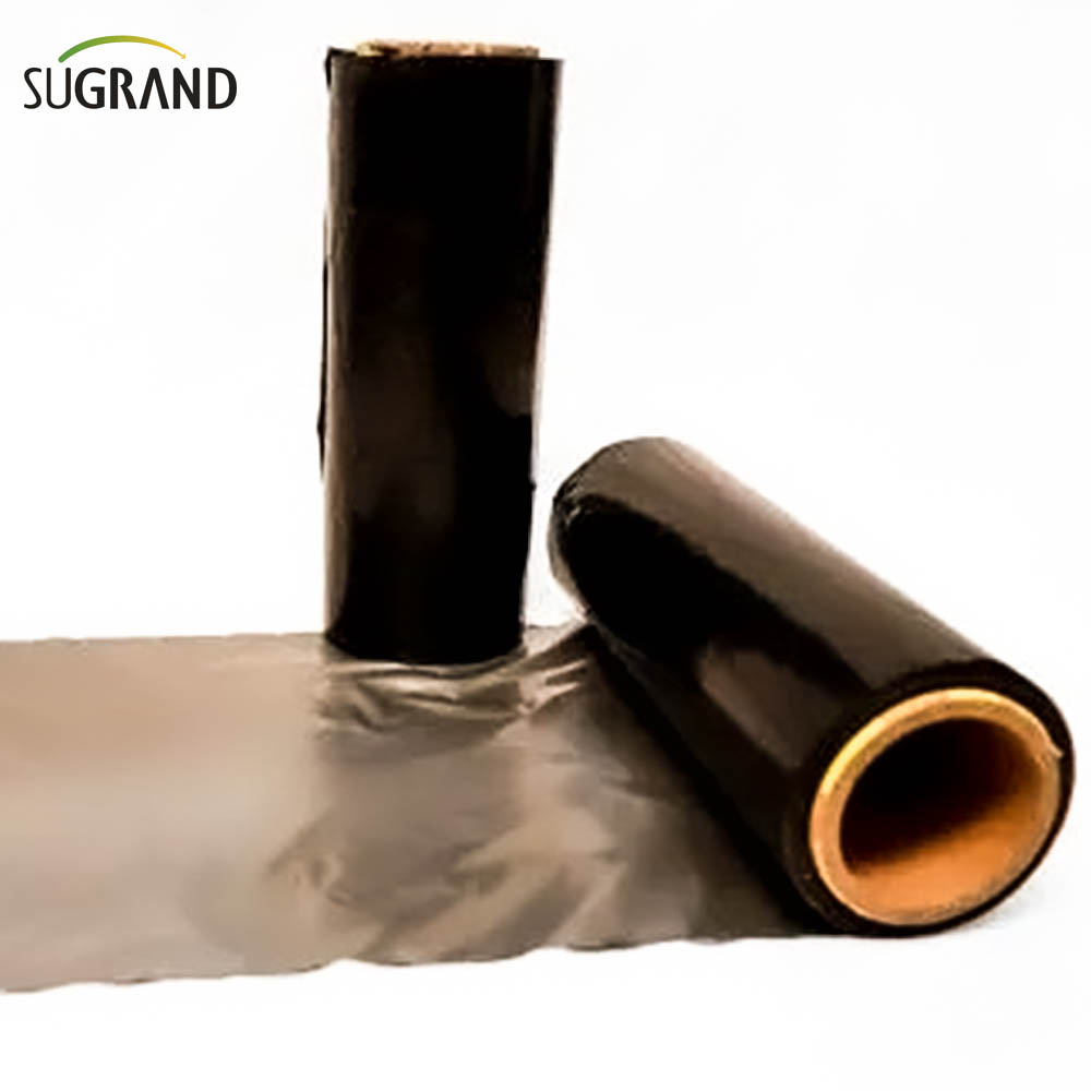 Biotelo Biodegradowalna folia do ściółkowania Agriplast Mulczowanie do ściółki rolniczej