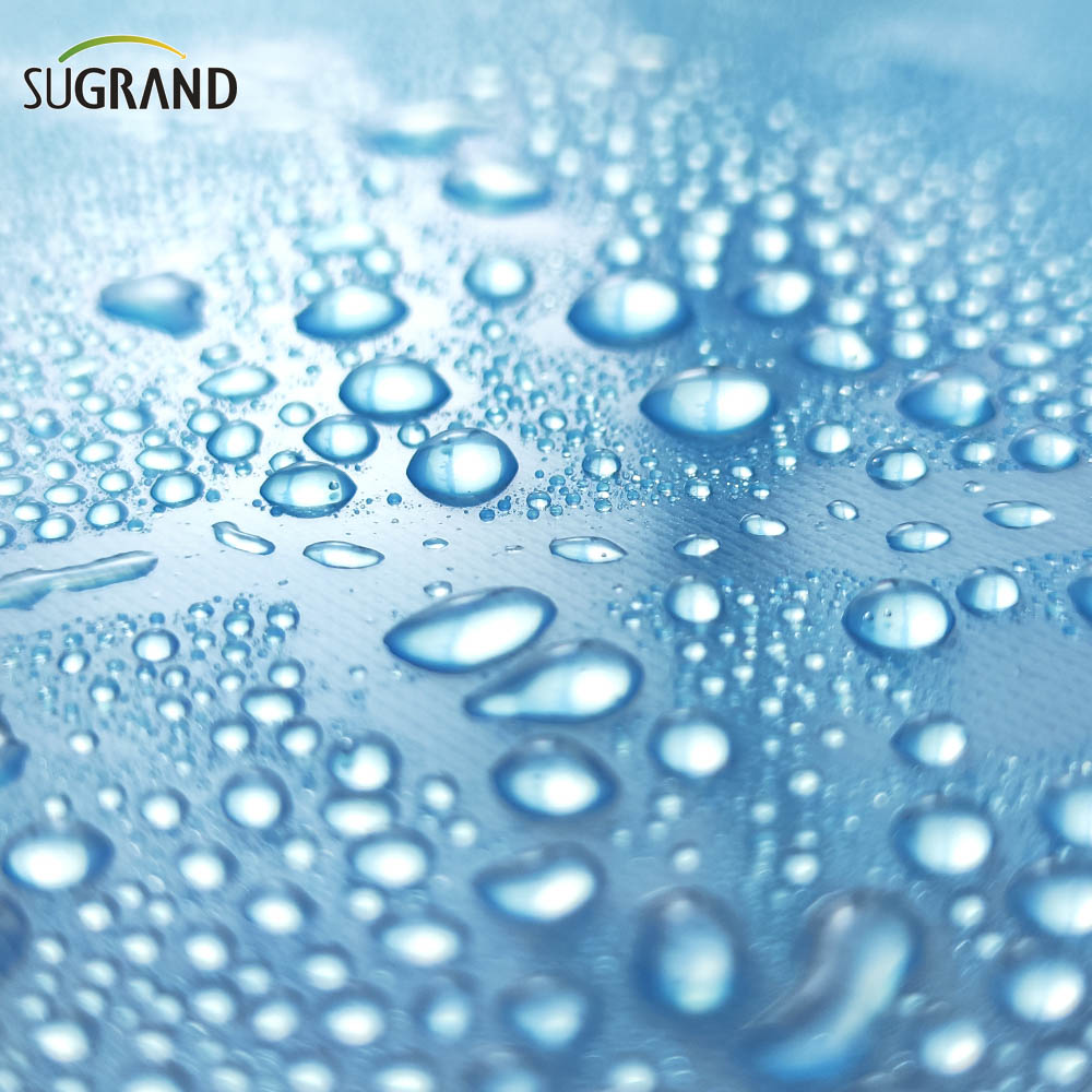 150 mikronów-250 mikronów UV przezroczysta folia polietylenowa do szklarni z tworzywa sztucznego do szklarni Pe